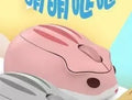 Hamster Wireless Mute Mouse in grey, pink, or yellow colour showing compact design next to USB receiver.
