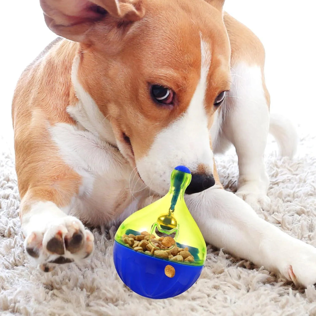 Durable interactive tumbler treat dispenser toy for small dogs and cats.