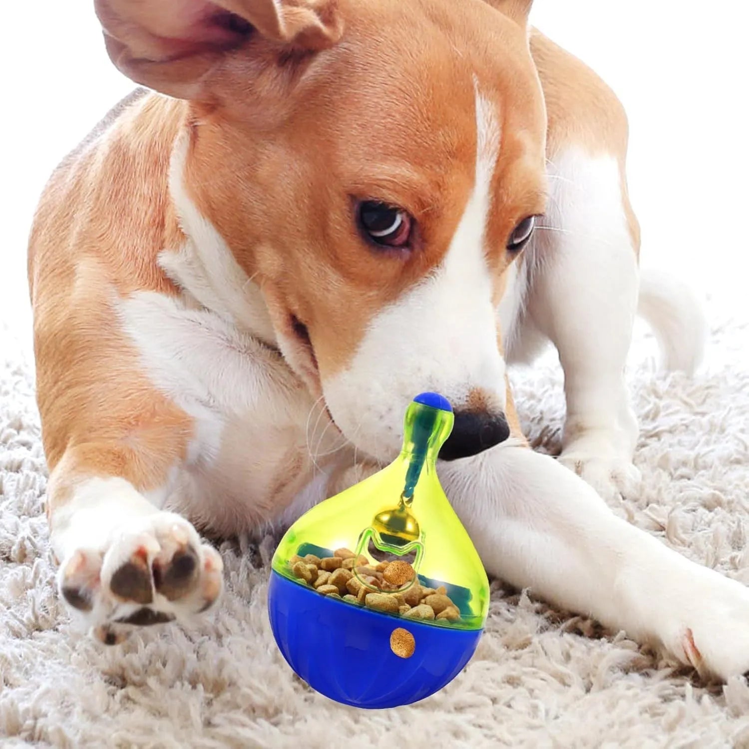 Durable interactive tumbler treat dispenser toy for small dogs and cats.