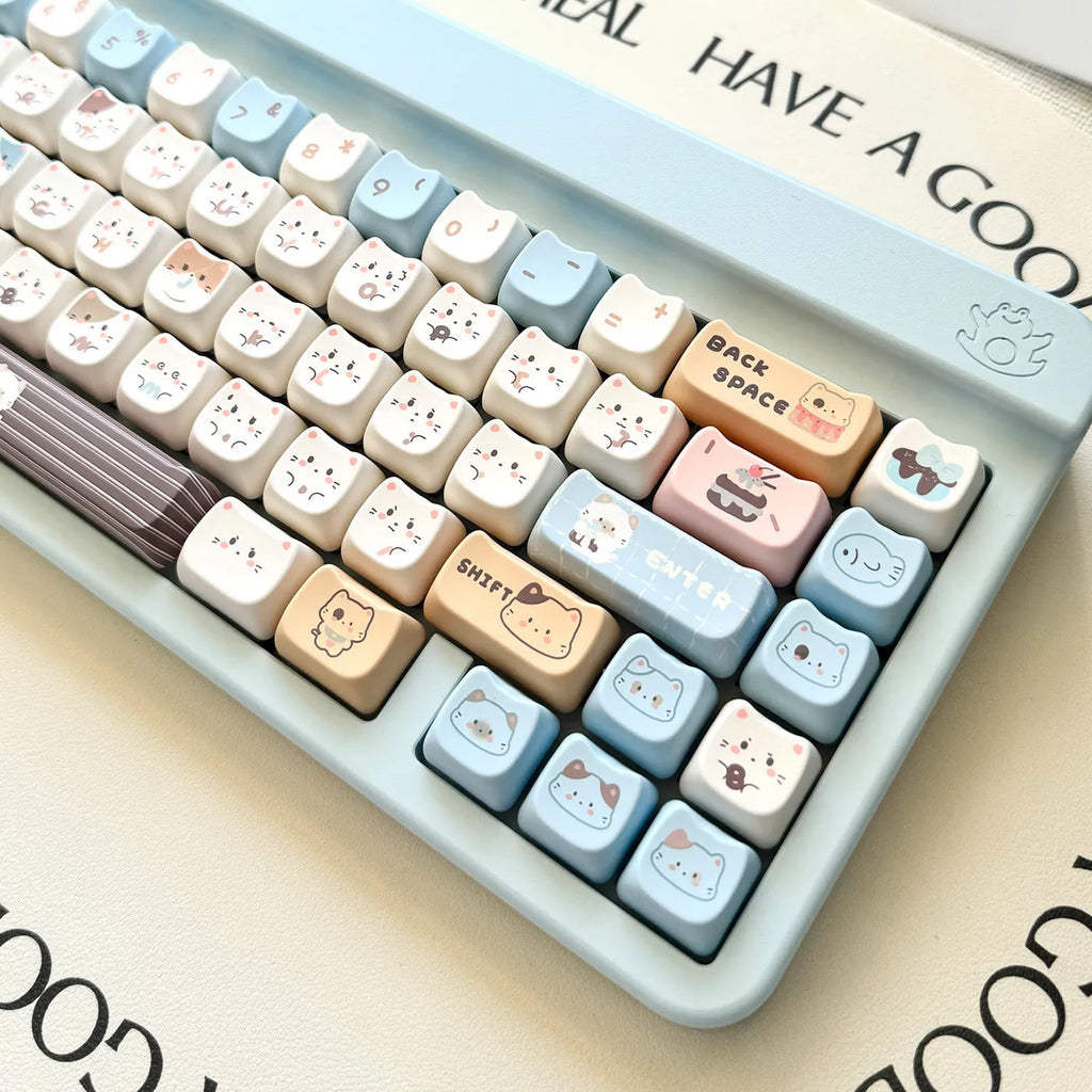 High Sea Salt Cat theme PBT keycap set with 7u March supplements on mechanical keyboard