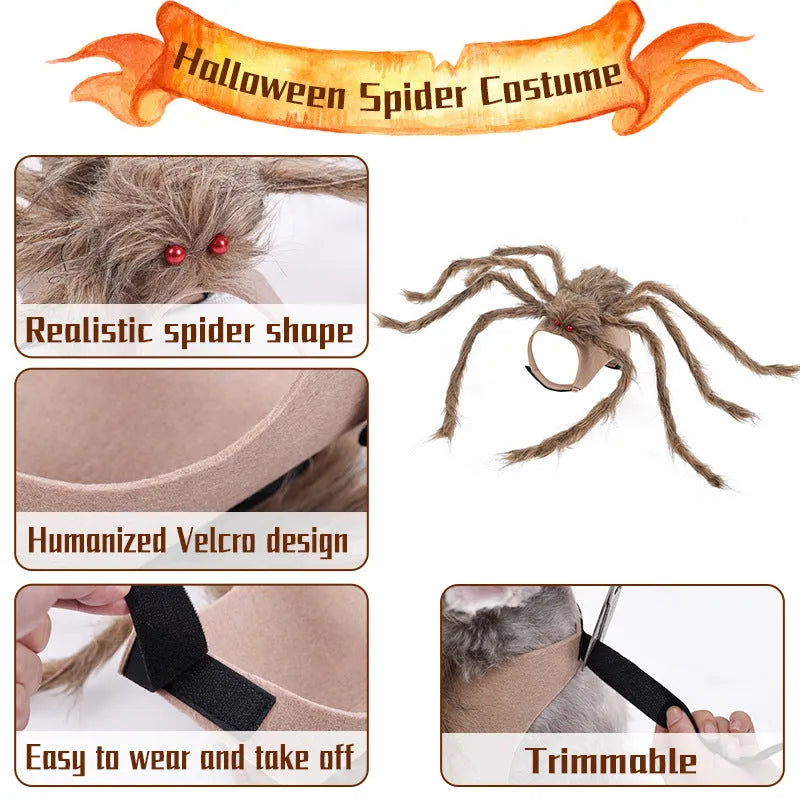 Gray Halloween spider costume on dog with eight faux legs and four-leg openings