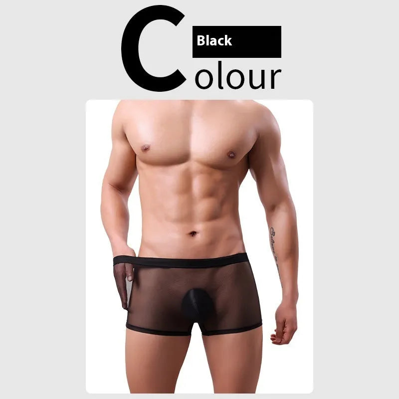 Men's low-waist mesh boxer briefs in thin sheer fabric showing colour options including black, white, green, and sapphire blue