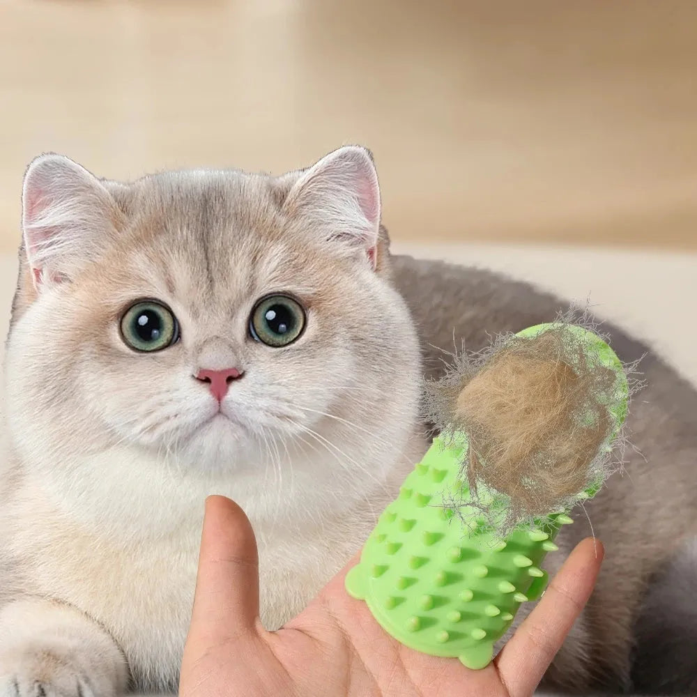 Silicone cat grooming brush with comb teeth mounted on table leg for scratching and hair removal