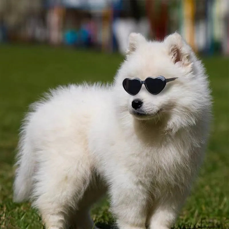 Doll sunglasses pet toy accessories PC full rim frame black film size, childlike style, multiple colours