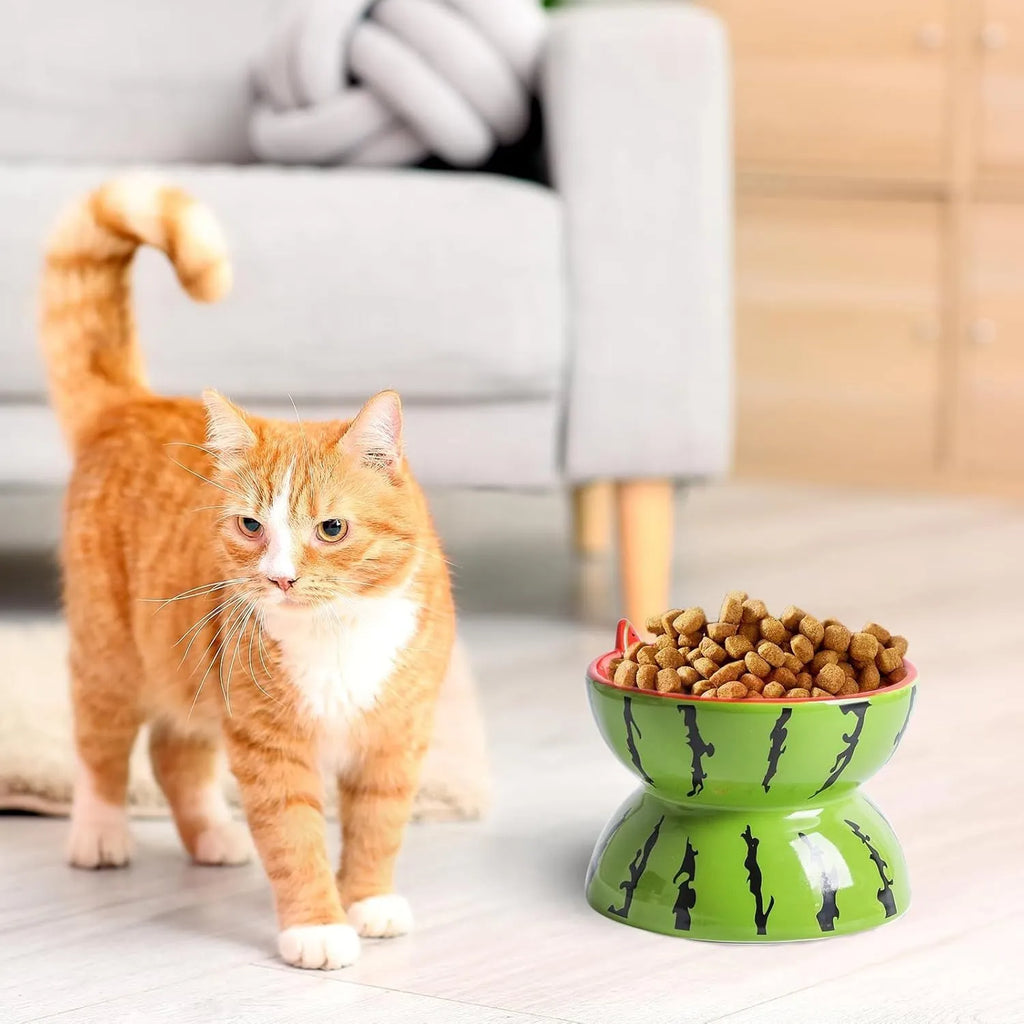 Ceramic raised cat food bowl with tilted design in a colourful pattern, showing slip-resistant base.