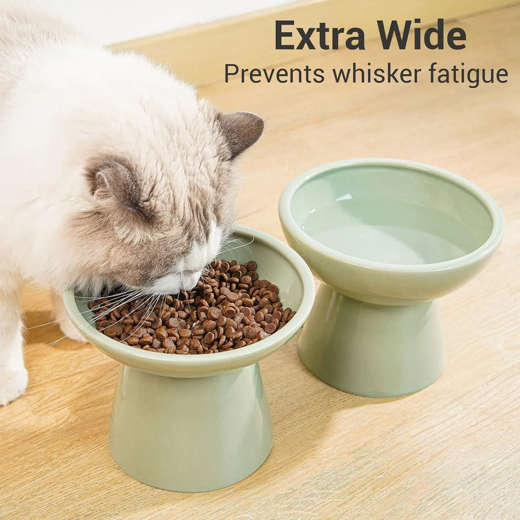 Elevated ceramic cat bowl set with wide shallow dish in blue green pink white colour options