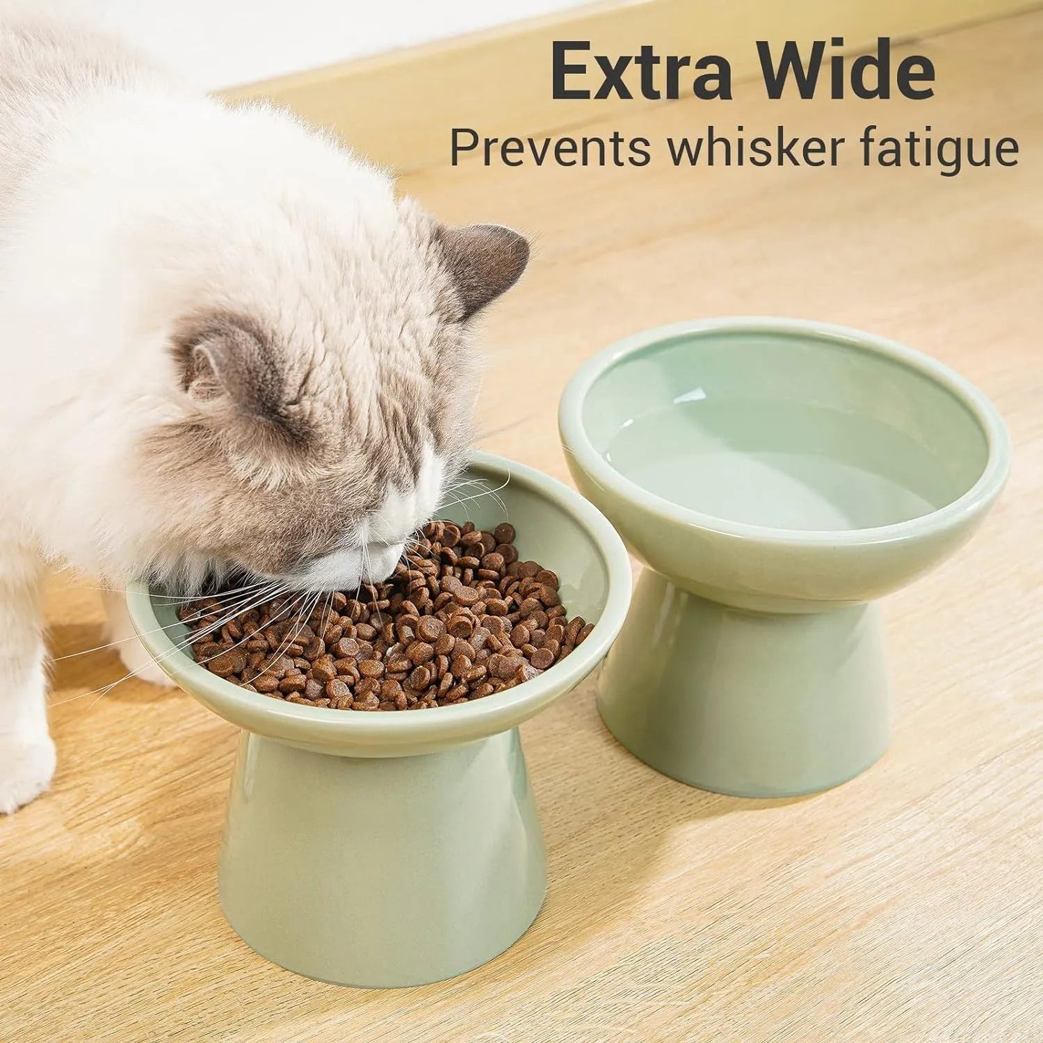 Elevated ceramic cat bowl set with wide shallow dish in blue green pink white colour options