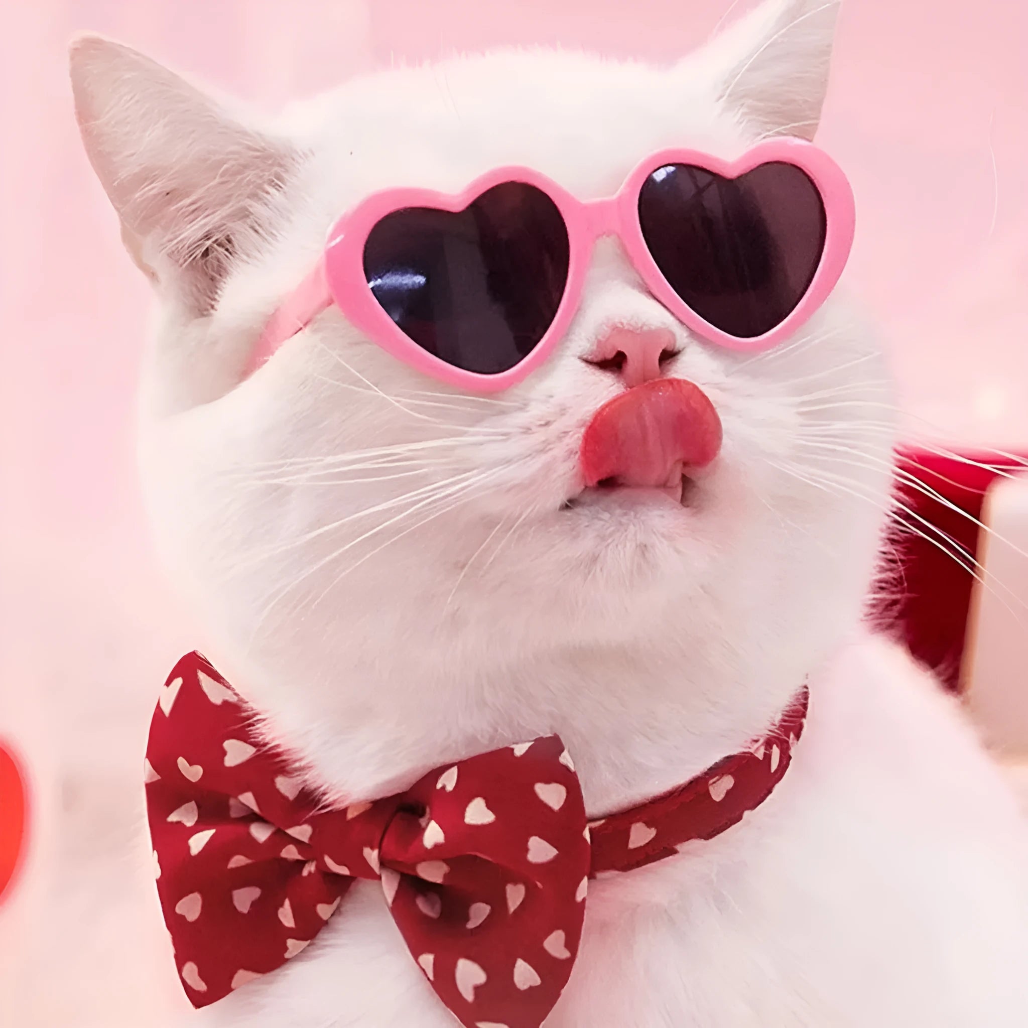 Doll sunglasses pet toy accessories PC full rim frame black film size, childlike style, multiple colours