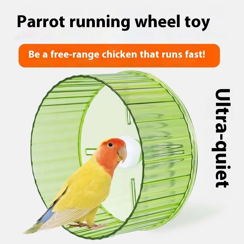 A plastic parrot running wheel exercise toy shown in a transparent colour variant.