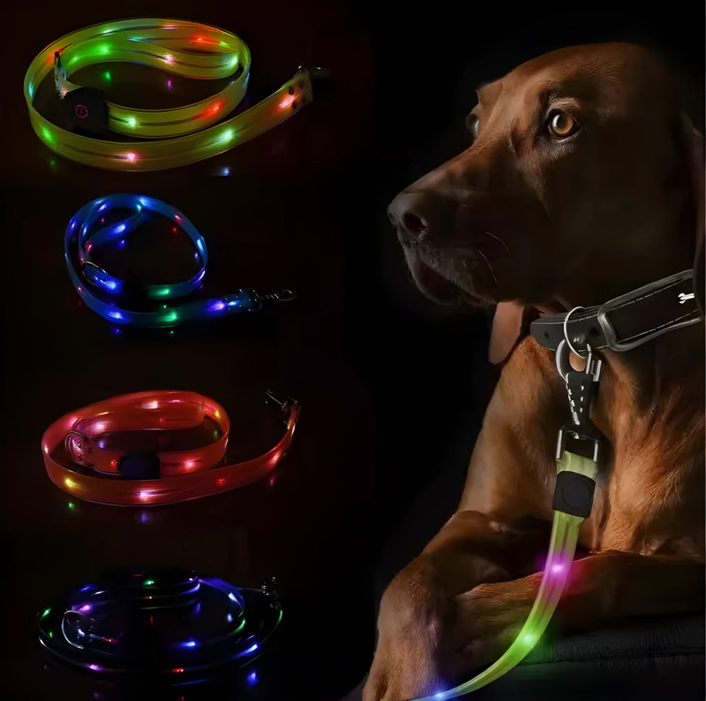 PVC luminous dog leash in fluorescent green, showing hand-held rope design and clasp.