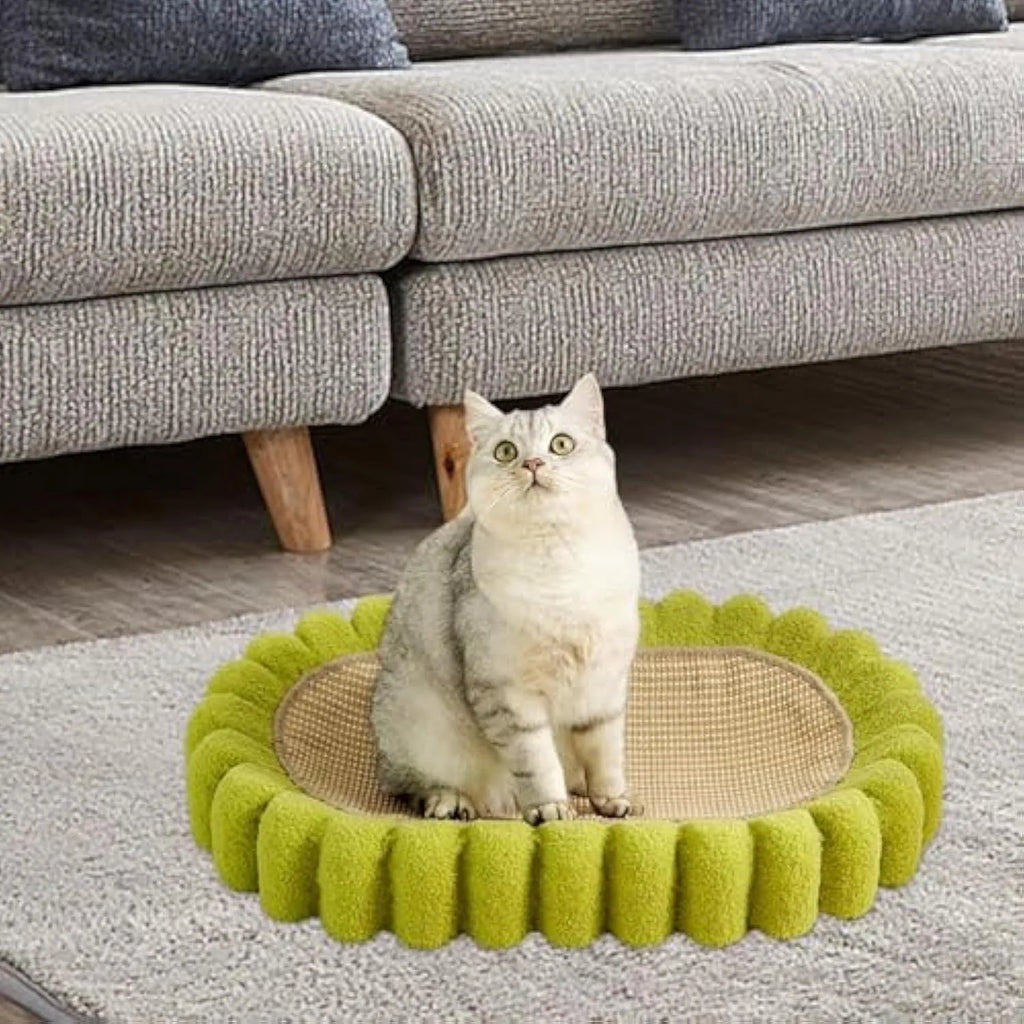 Green oval sisal cat scratch pad showing scratching surface and bowl-shaped lounging area