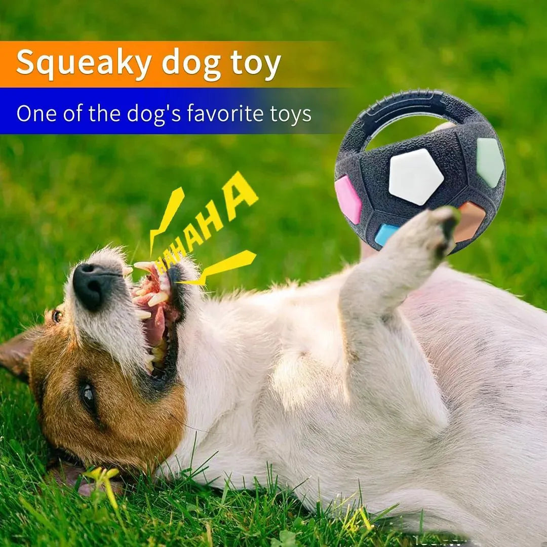 Black football-shaped tennis ball dog toy with squeaker for outdoor fetch