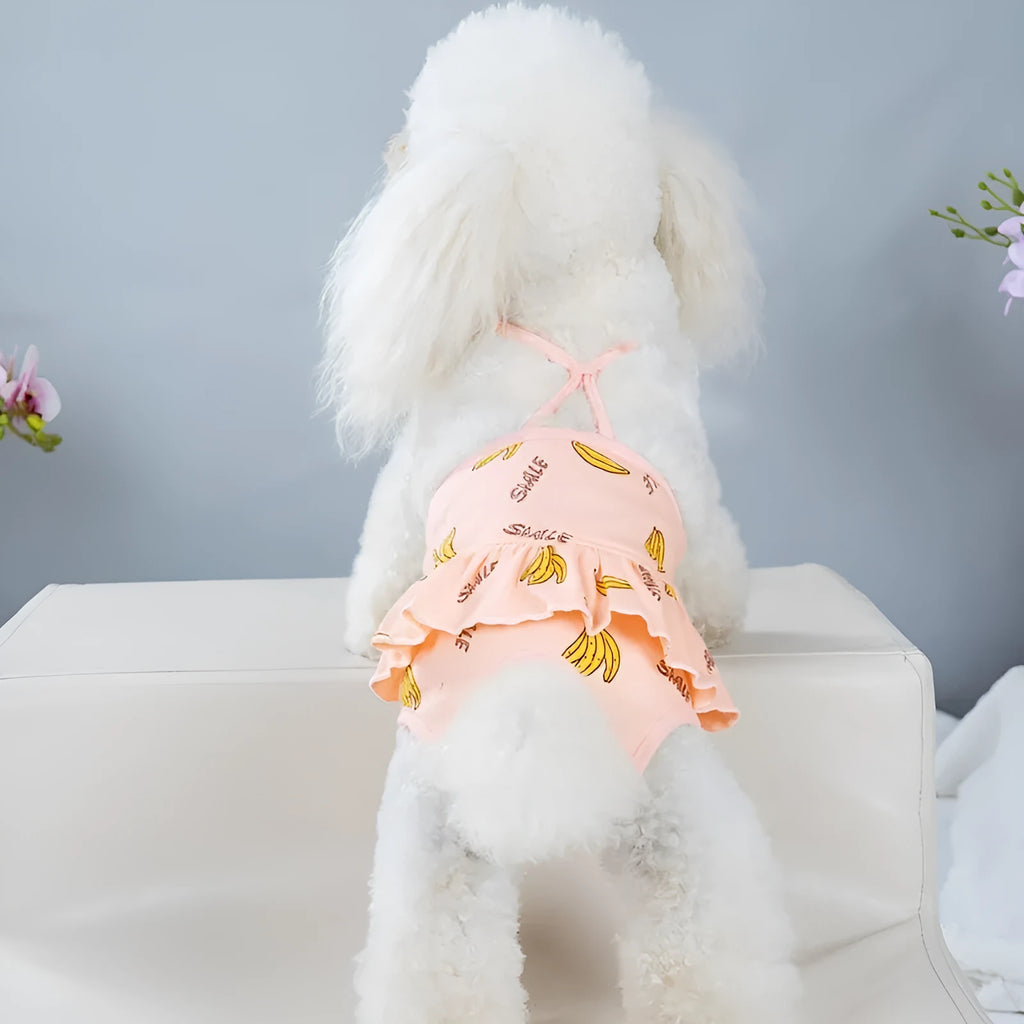 Blue washable cotton female dog menstrual safety pants from Bull