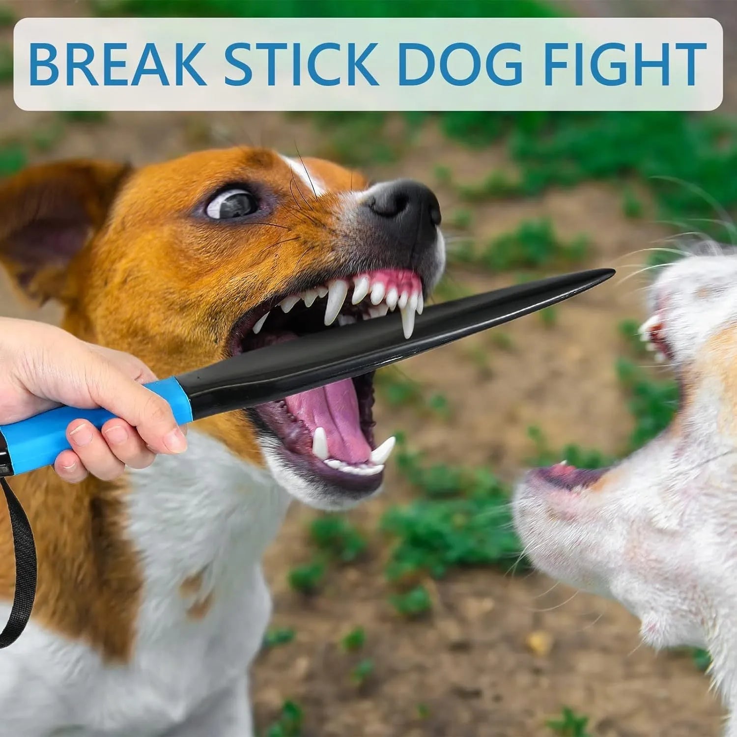 Blue handled nylon dog break stick training tool measuring 35cm for small and medium dogs.