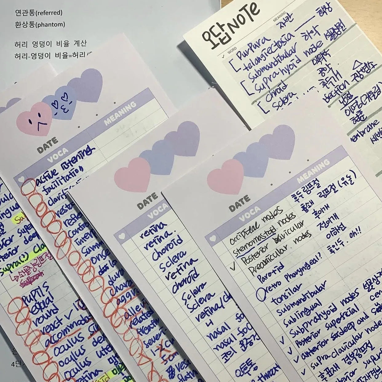Vertical English learning notepad with double-sided printing in B5 half size