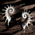 Three-dimensional matte finish conch stud earrings with exaggerated shape and irregular design elements