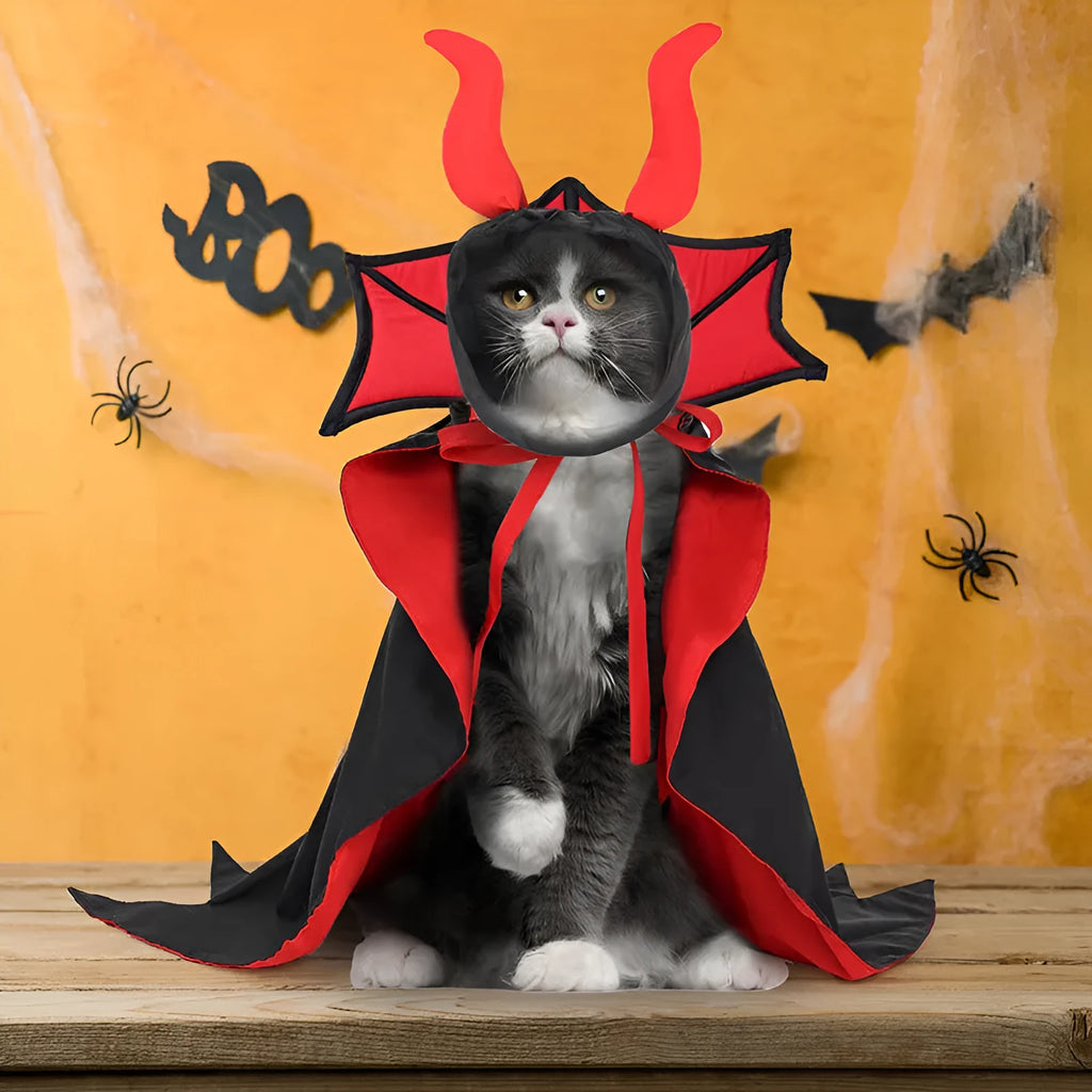 Black polyester vampire cloak and hat costume on a small dog or cat for Halloween.