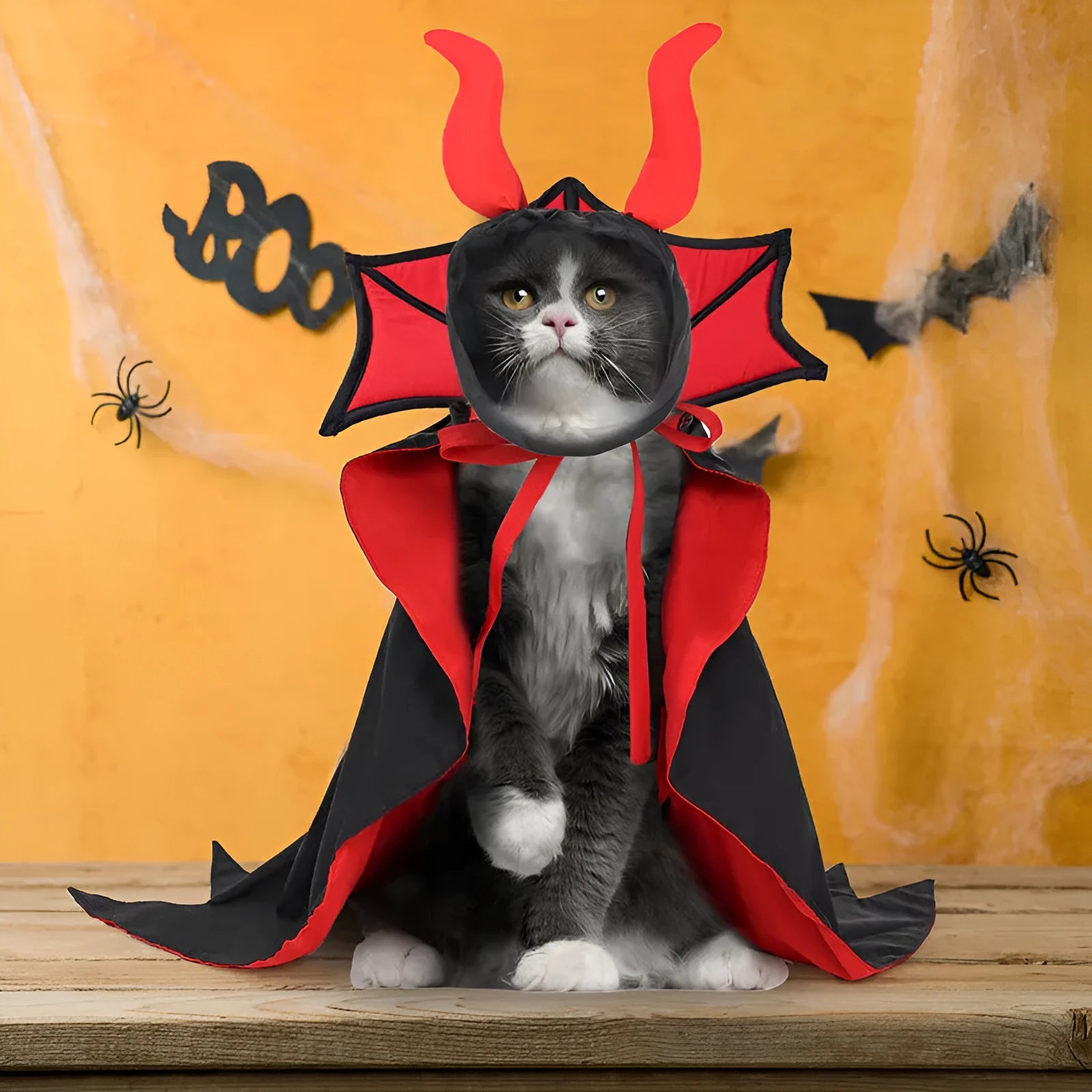 Black polyester vampire cloak and hat costume on a small dog or cat for Halloween.