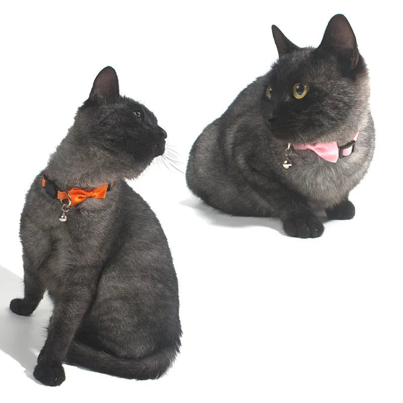 Striped nylon cat collar with bow decoration and bell in multiple colour options