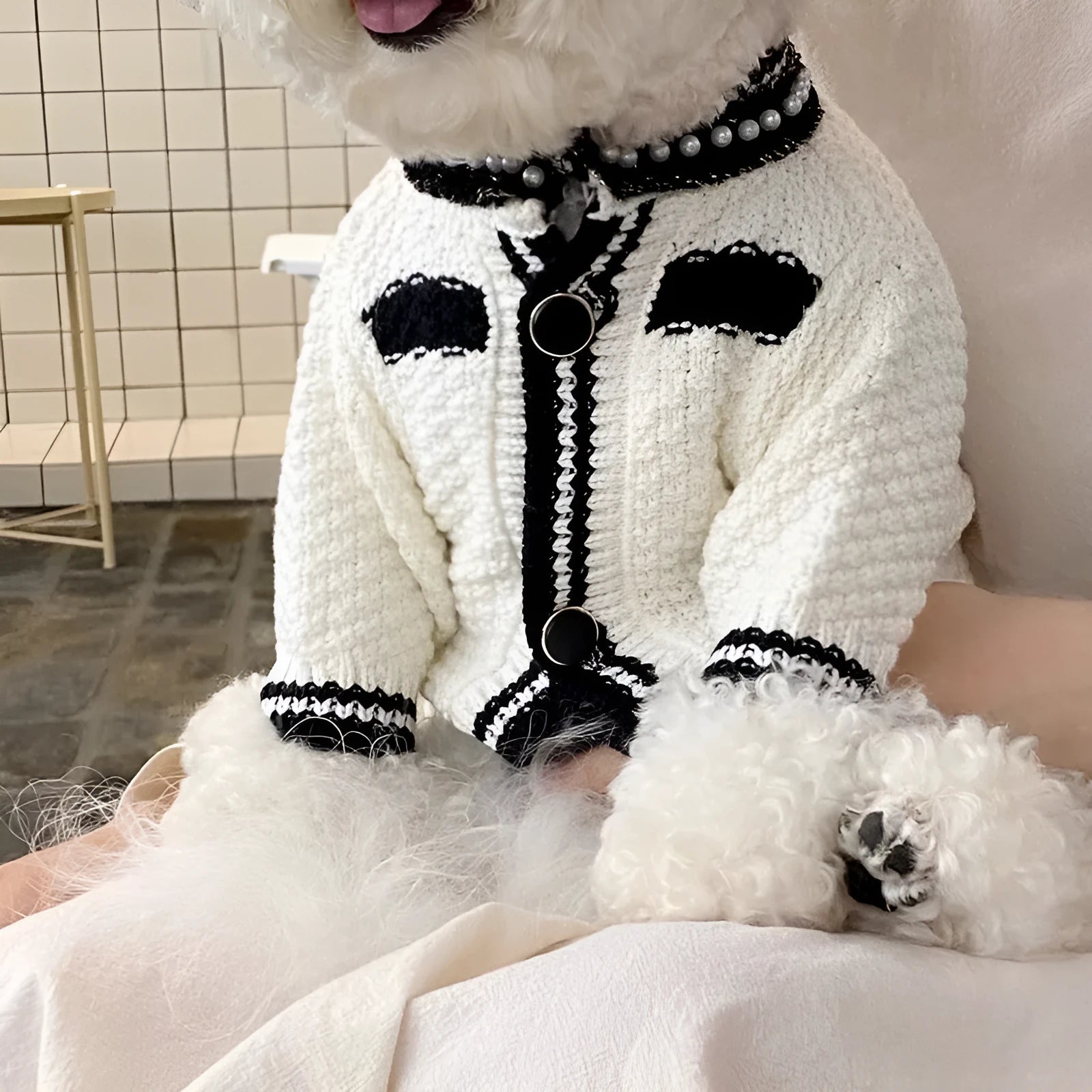 Korean style white puppy sweater with pearl collar for small dogs