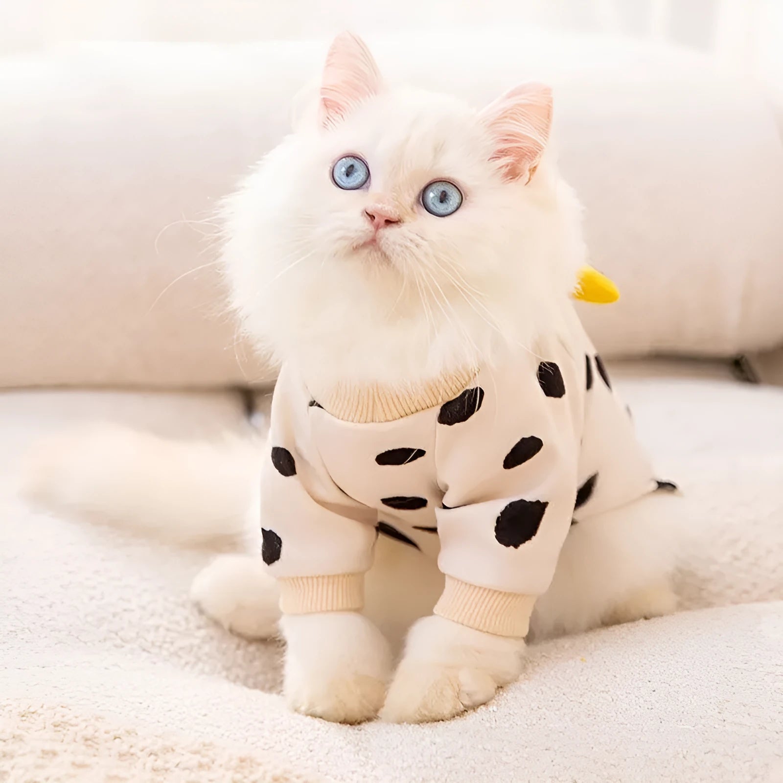 Anti-lint pet clothing in Dralon, white polka dot banana design, side view on a light background