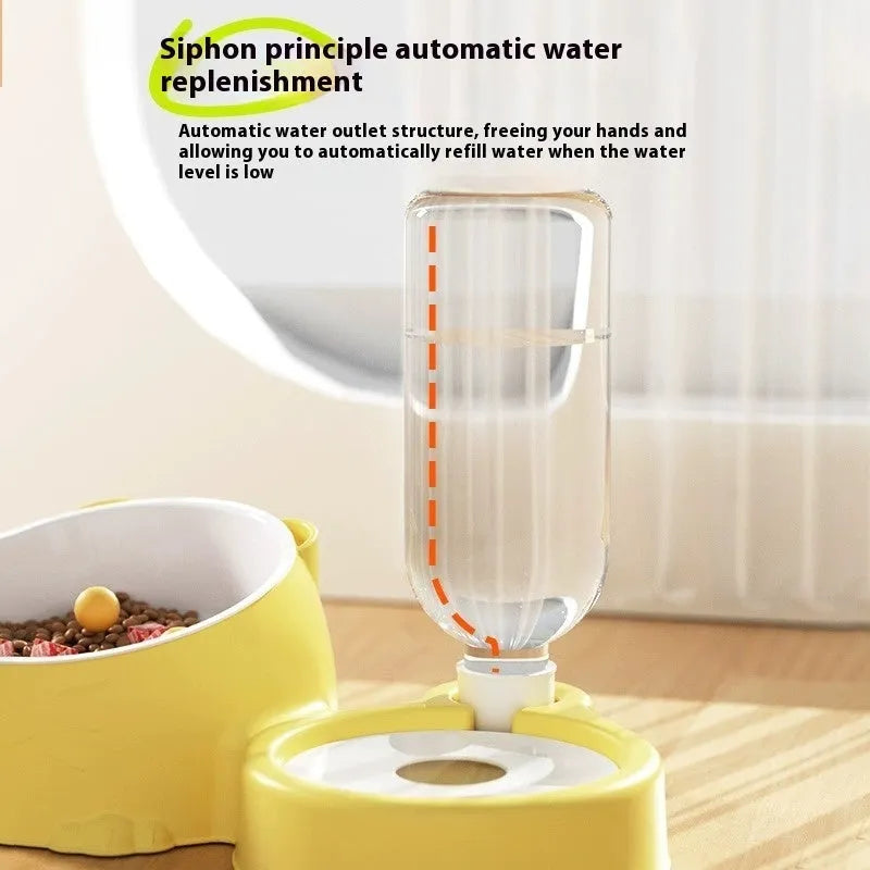 Double bowl automatic pet drinking basin with stainless steel ceramic base and removable plastic bowls