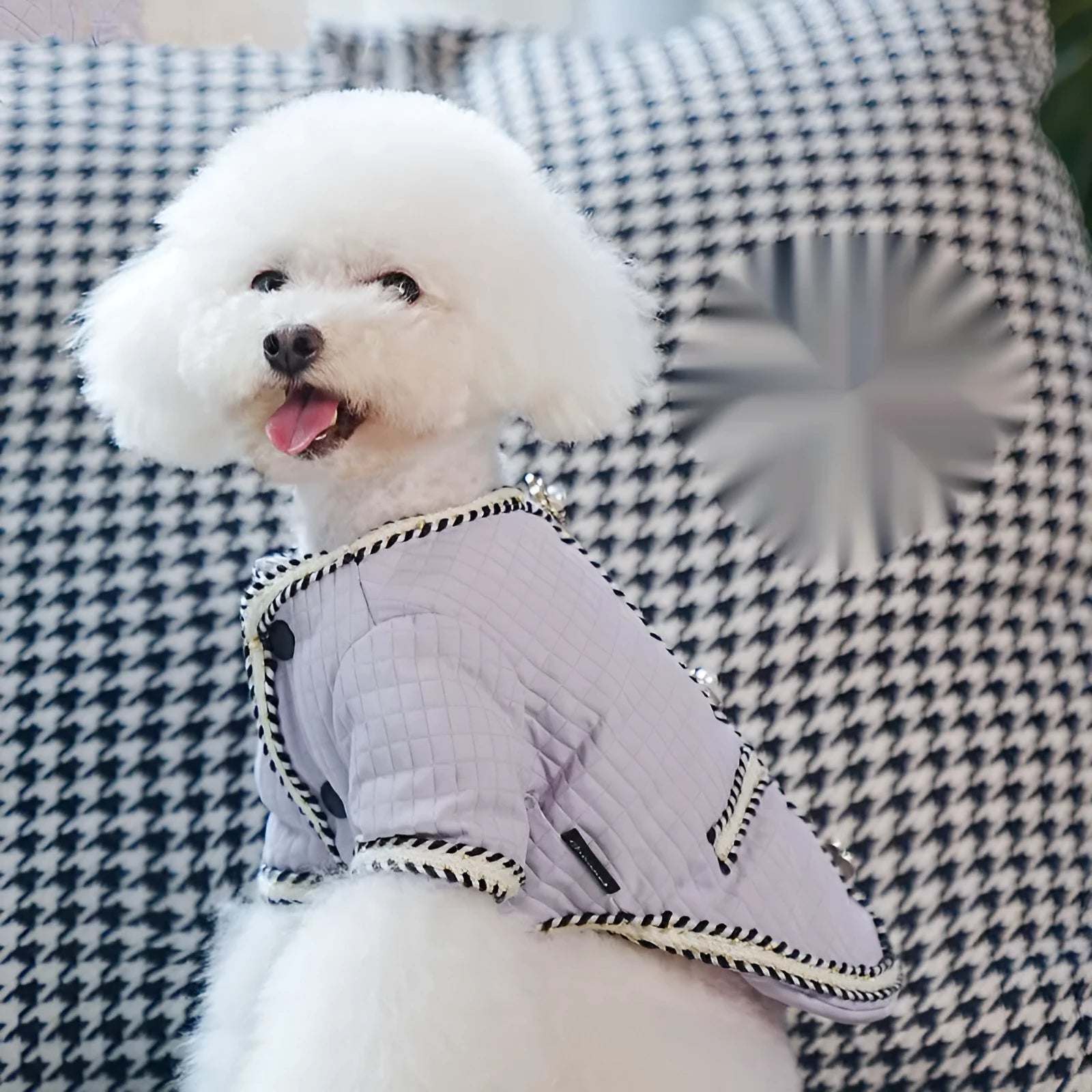 Quilted polyester pet coat with cartoon print in black colour available in multiple sizes