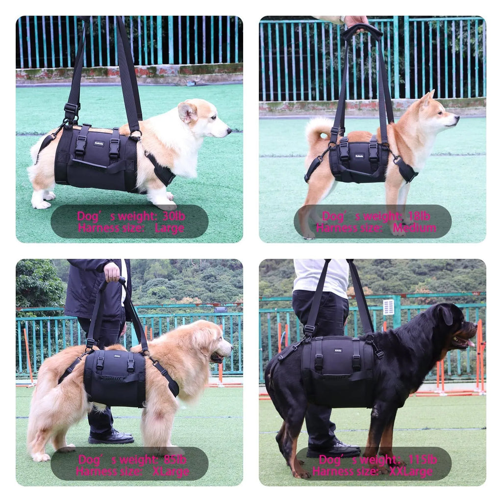 Black Oxford cloth dog harness with leg support shown in L, M, XL, and XXL sizes