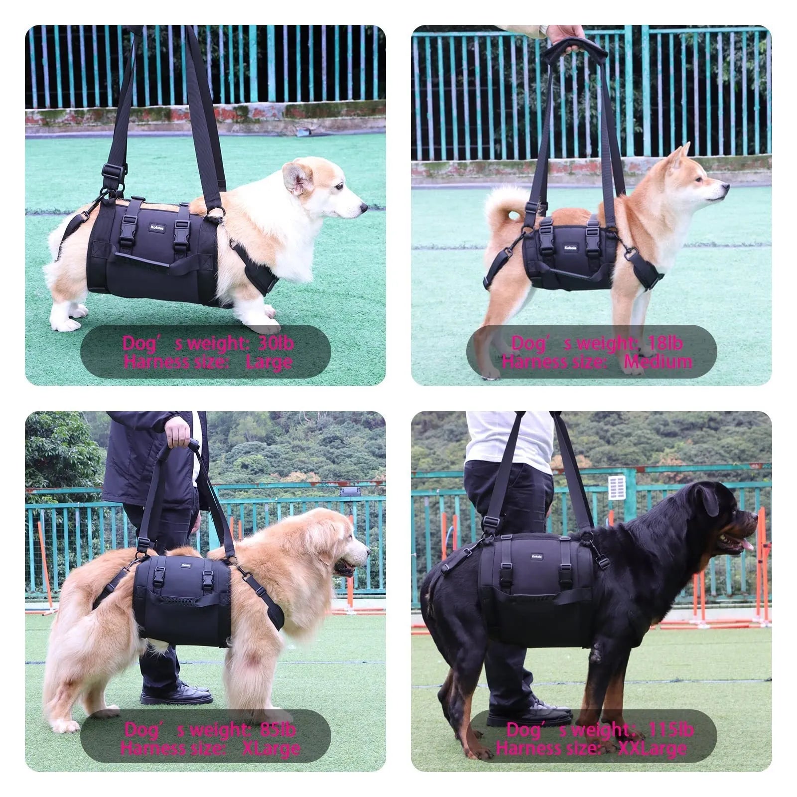 Black Oxford cloth dog harness with leg support shown in L, M, XL, and XXL sizes