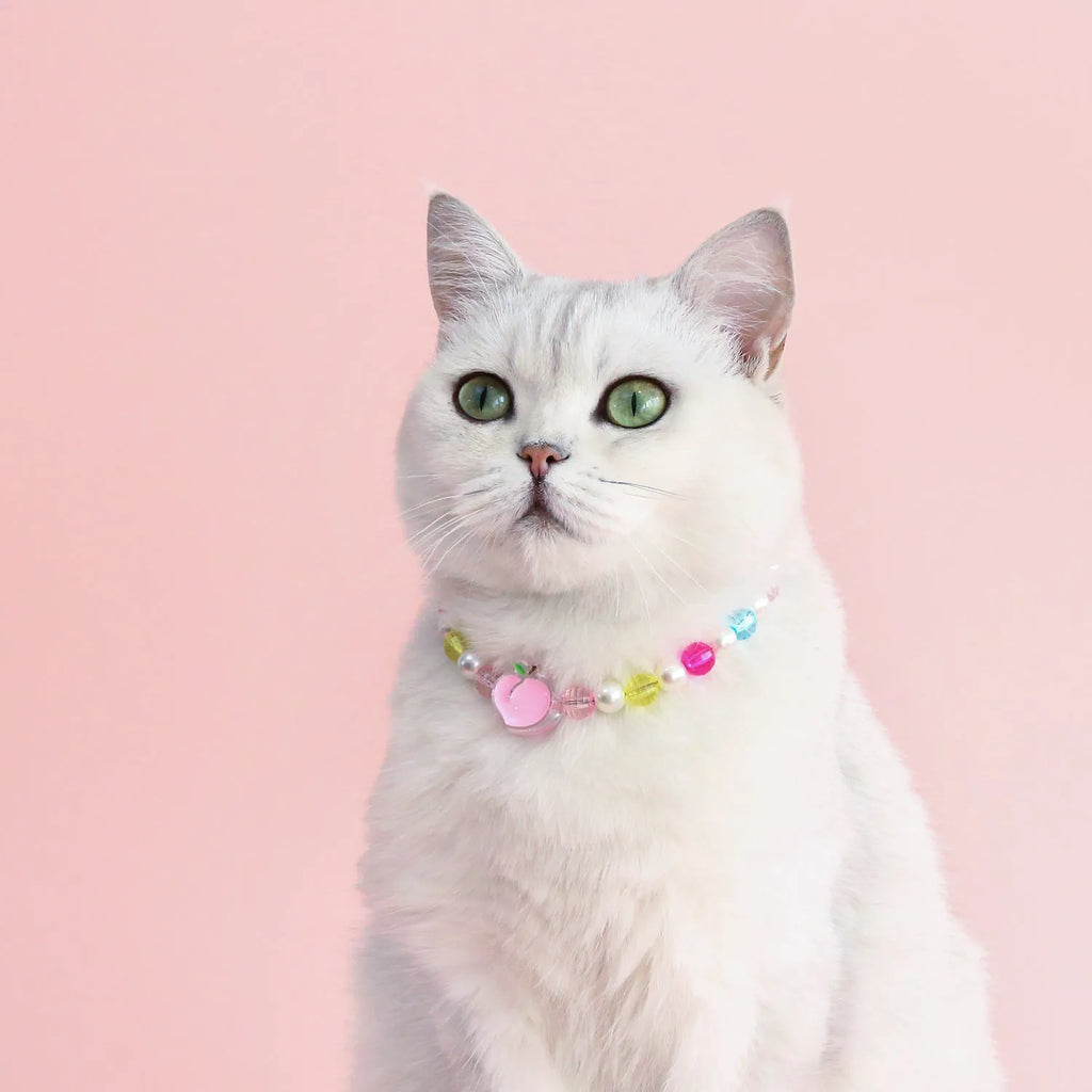 Colourful plastic pearl pet necklace with flower beads for cats and small dogs